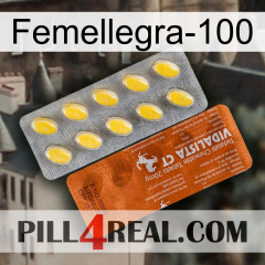 Femalegra-100 42